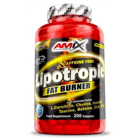 LIPOTROPIC FAT BURNER - 200 CAPSULAS